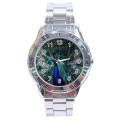 Blue And Green Peacock Stainless Steel Analogue Watch by Sarkoni