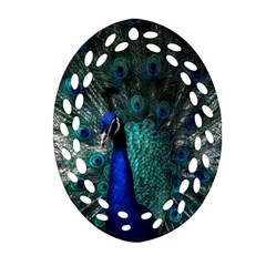 Blue And Green Peacock Oval Filigree Ornament (two Sides) by Sarkoni