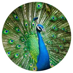 Peafowl Peacock Round Trivet by Sarkoni