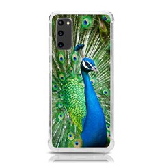 Peafowl Peacock Samsung Galaxy S20 6 2 Inch Tpu Uv Case by Sarkoni