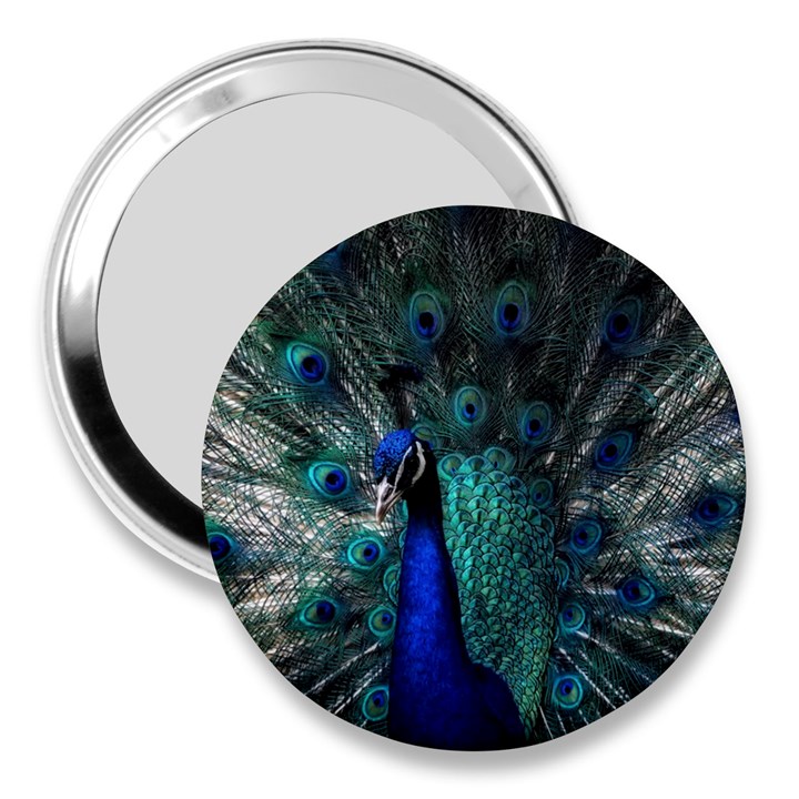 Blue And Green Peacock 3  Handbag Mirrors