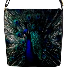 Blue And Green Peacock Flap Closure Messenger Bag (s) by Sarkoni