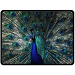 Blue And Green Peacock Two Sides Fleece Blanket (Large) 80 x60  Blanket Front