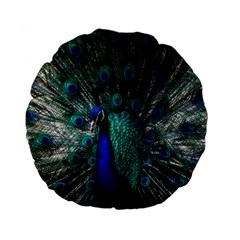 Blue And Green Peacock Standard 15  Premium Flano Round Cushions