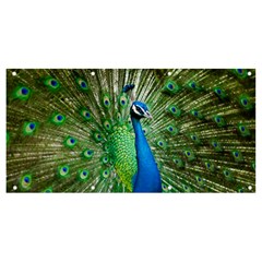 Peafowl Peacock Banner And Sign 8  X 4  by Sarkoni