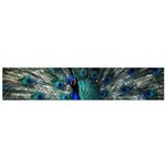 Blue And Green Peacock Small Premium Plush Fleece Scarf Back