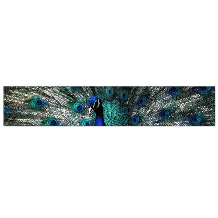 Blue And Green Peacock Large Premium Plush Fleece Scarf 