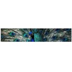 Blue And Green Peacock Large Premium Plush Fleece Scarf  Back