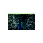 Blue And Green Peacock Cosmetic Bag (XS) Back