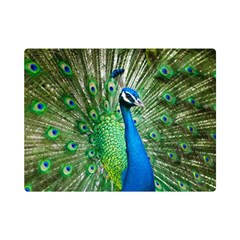 Peafowl Peacock Premium Plush Fleece Blanket (mini) by Sarkoni