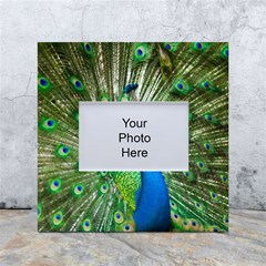 Peafowl Peacock White Box Photo Frame 4  X 6  by Sarkoni