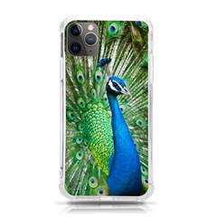 Peafowl Peacock Iphone 11 Pro Max 6 5 Inch Tpu Uv Print Case by Sarkoni