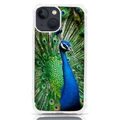 Peafowl Peacock Iphone 13 Mini Tpu Uv Print Case by Sarkoni