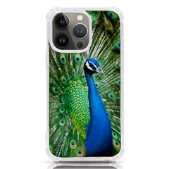 Peafowl Peacock Iphone 13 Pro Tpu Uv Print Case by Sarkoni