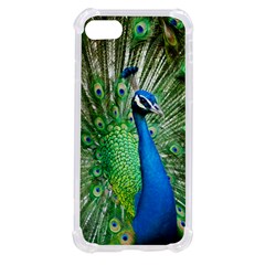 Peafowl Peacock Iphone Se by Sarkoni