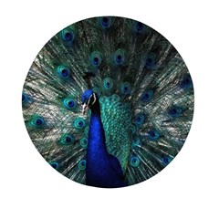 Blue And Green Peacock Mini Round Pill Box by Sarkoni