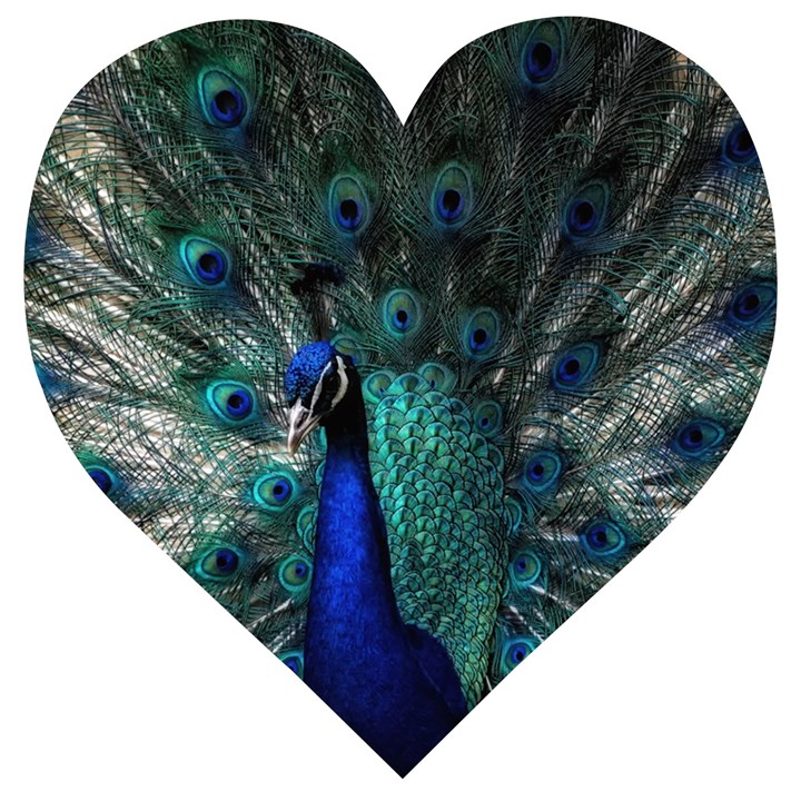 Blue And Green Peacock Wooden Puzzle Heart