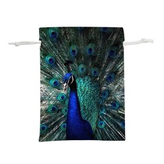 Blue And Green Peacock Lightweight Drawstring Pouch (l) by Sarkoni