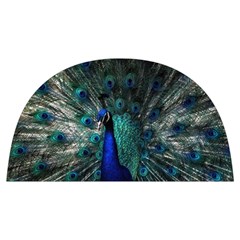 Blue And Green Peacock Anti Scalding Pot Cap by Sarkoni