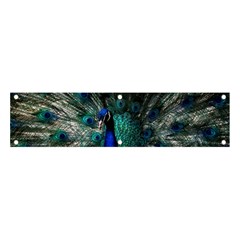 Blue And Green Peacock Banner And Sign 4  X 1  by Sarkoni