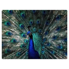 Blue And Green Peacock Premium Plush Fleece Blanket (extra Small) by Sarkoni