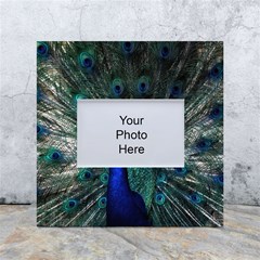 Blue And Green Peacock White Box Photo Frame 4  X 6  by Sarkoni