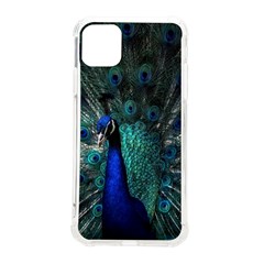 Blue And Green Peacock Iphone 11 Pro Max 6 5 Inch Tpu Uv Print Case by Sarkoni