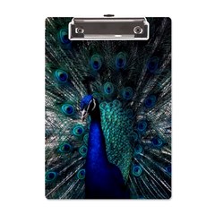 Blue And Green Peacock A5 Acrylic Clipboard by Sarkoni