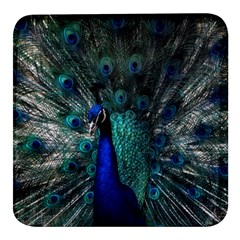 Blue And Green Peacock Square Glass Fridge Magnet (4 Pack) by Sarkoni