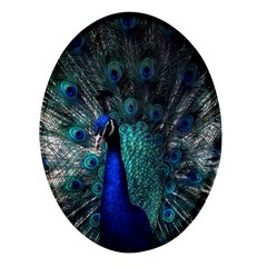 Blue And Green Peacock Oval Glass Fridge Magnet (4 Pack) by Sarkoni