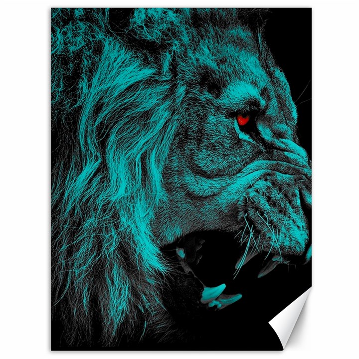 Angry Male Lion Predator Carnivore Canvas 36  x 48 