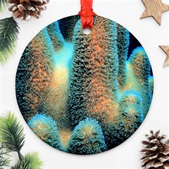 Photo Coral Great Scleractinia Ornament (round) by Pakjumat