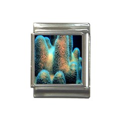 Photo Coral Great Scleractinia Italian Charm (13mm) by Pakjumat