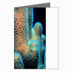 Photo Coral Great Scleractinia Greeting Cards (pkg Of 8) by Pakjumat