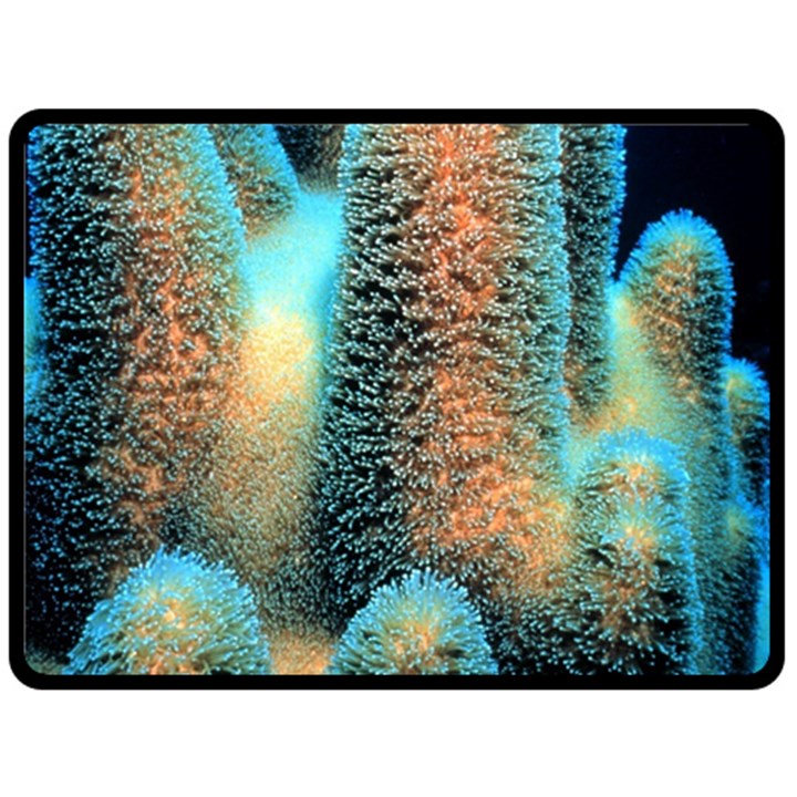 Photo Coral Great Scleractinia Fleece Blanket (Large)