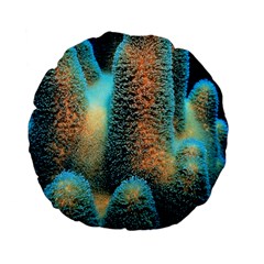 Photo Coral Great Scleractinia Standard 15  Premium Flano Round Cushions by Pakjumat