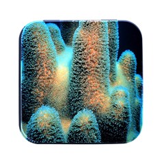 Photo Coral Great Scleractinia Square Metal Box (black) by Pakjumat