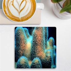 Photo Coral Great Scleractinia Uv Print Square Tile Coaster  by Pakjumat