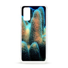 Photo Coral Great Scleractinia Samsung Galaxy S20 6 2 Inch Tpu Uv Case