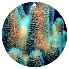 Photo Coral Great Scleractinia Uv Print Acrylic Ornament Round by Pakjumat