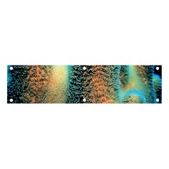 Photo Coral Great Scleractinia Banner And Sign 4  X 1  by Pakjumat