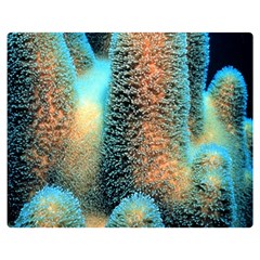 Photo Coral Great Scleractinia Premium Plush Fleece Blanket (medium) by Pakjumat