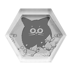 Kitten Black Furry Illustration Hexagon Wood Jewelry Box by Sarkoni