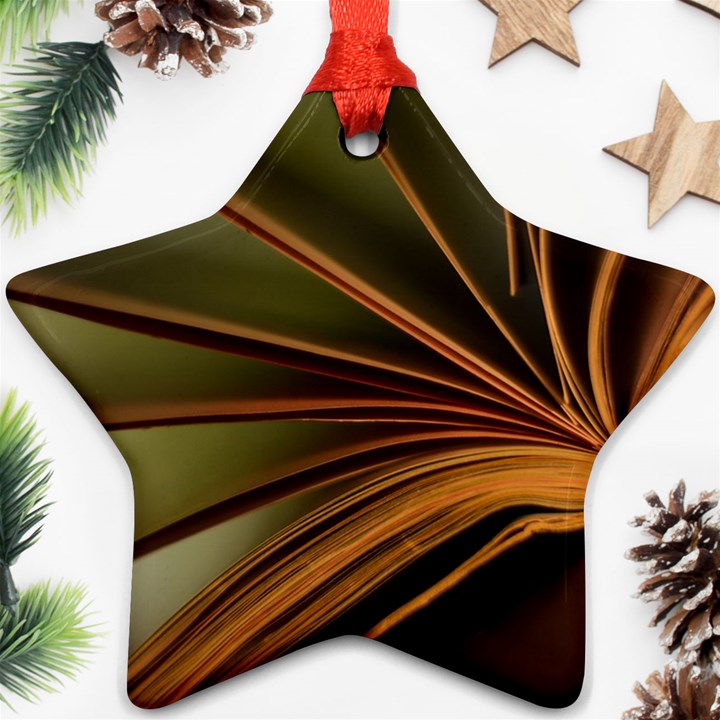 Book Screen Climate Mood Range Star Ornament (Two Sides)