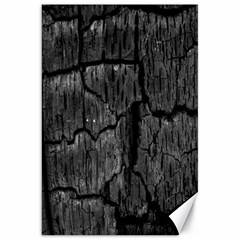 Coal Charred Tree Pore Black Canvas 20  X 30  by Amaryn4rt