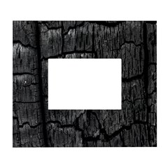 Coal Charred Tree Pore Black White Wall Photo Frame 5  X 7  by Amaryn4rt