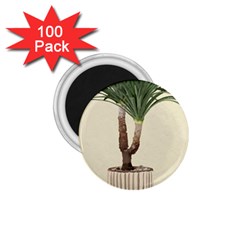 Tree Vector Art In A Flower Pot 1 75  Magnets (100 Pack)  by Sarkoni