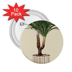 Tree Vector Art In A Flower Pot 2 25  Buttons (10 Pack)  by Sarkoni