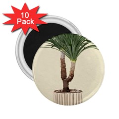 Tree Vector Art In A Flower Pot 2 25  Magnets (10 Pack)  by Sarkoni