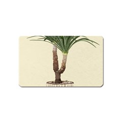 Tree Vector Art In A Flower Pot Magnet (name Card) by Sarkoni